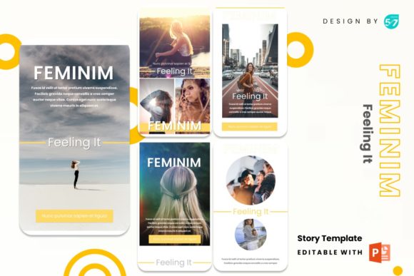 Download Instagram Stories Template - Feminim - Feminim Collection